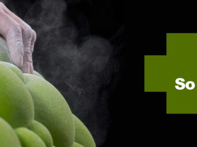 So iLL Klettergriffe